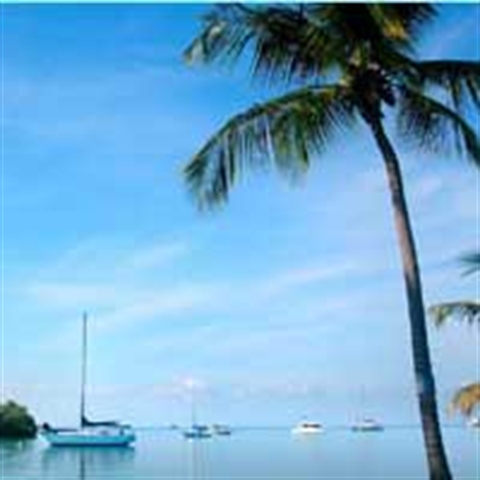 Bike and Beach Picnic Key West Hotel Package